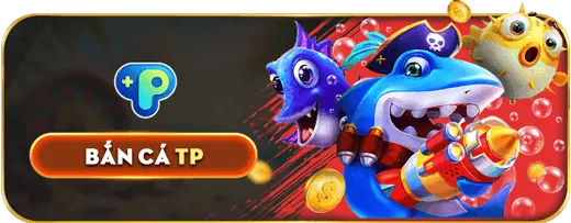 Đặt cược và theo dõi trận đấu